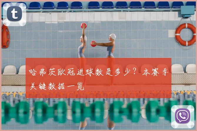 哈弗茨欧冠进球数是多少？本赛季关键数据一览