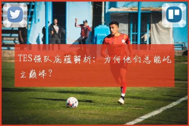 TES强队底蕴解析：为何他们总能屹立巅峰？