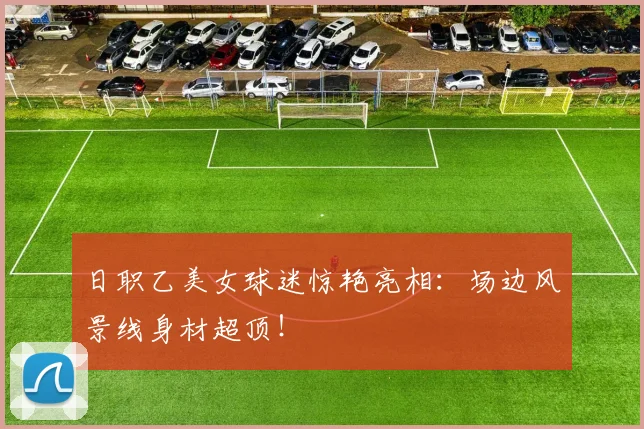 日职乙美女球迷惊艳亮相：场边风景线身材超顶！